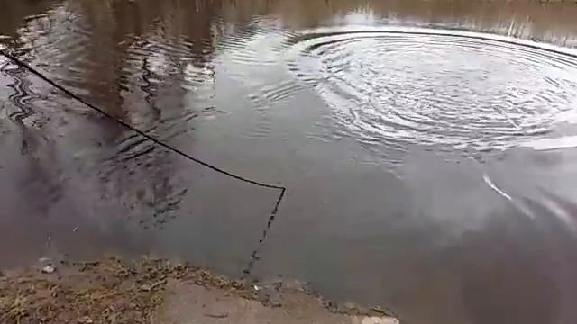 Специалисты по ловле клаксонов смотреть онлайн