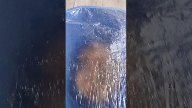 ШИИТАКИ, ВЫРАЩИВАЕМ ДОМА смотреть онлайн