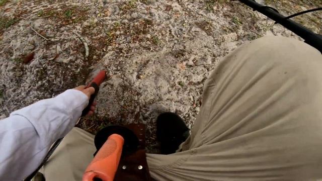 Park METAL DETECTING! | Minelab X-TERRA PRO Metal Detector смотреть онлайн