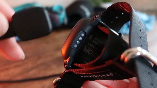Aqua Lung I330R Dive Computer Review