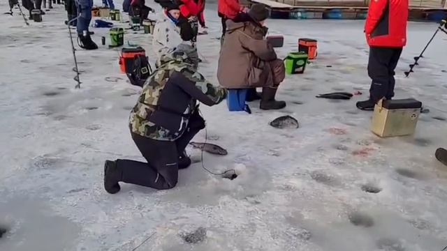 Зарыбление 200 кг и две призовые форели!