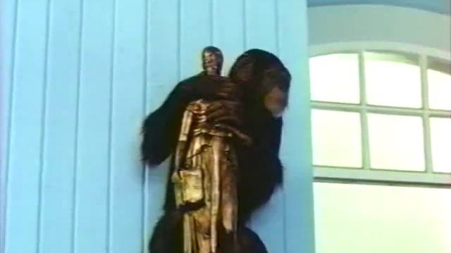 The Fifth Monkey 1990 - O Quinto Macaco смотреть онлайн