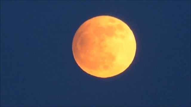 "Pink" Full Moon 25-04-2013 смотреть онлайн