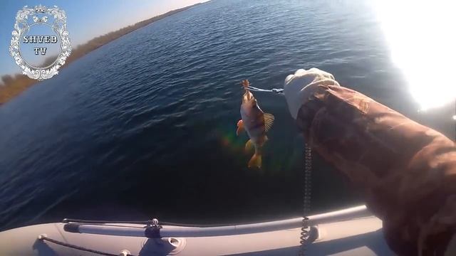 Эхолот из Китая Phiradar FF688C и lowrance elite 3x .Пробуем на воде смотреть онлайн