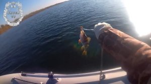 Эхолот из Китая Phiradar FF688C и lowrance elite 3x .Пробуем на воде