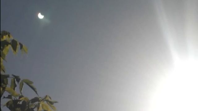 How to take a photo of a partial solar eclipse with your mobile phone смотреть онлайн