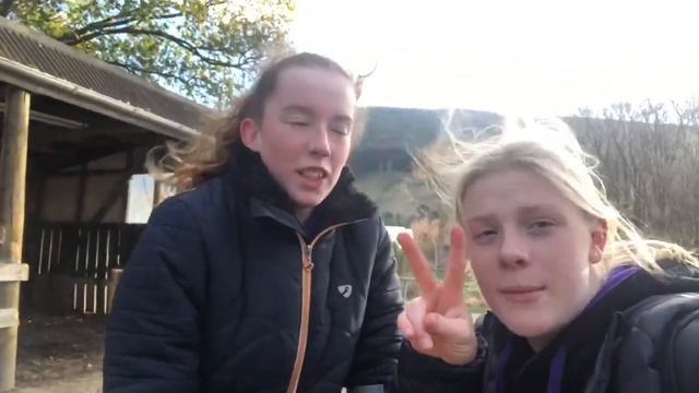 2 day vlog and Gemmas weight update! | MM Equestrian смотреть онлайн