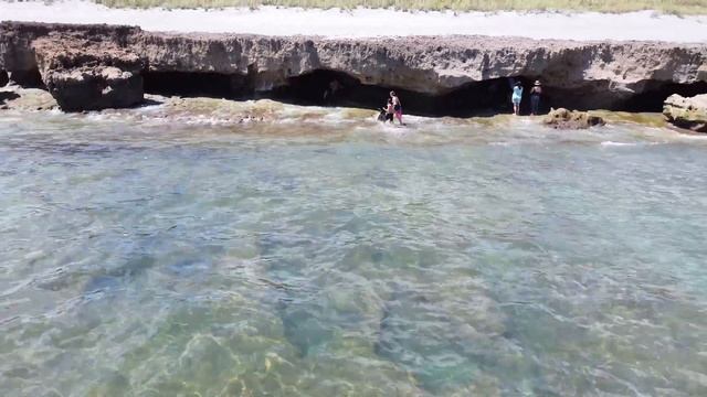 Labor Day 2021 смотреть онлайн