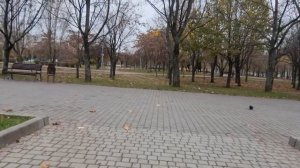 Парк Гагарина,  Космос, Запорожье