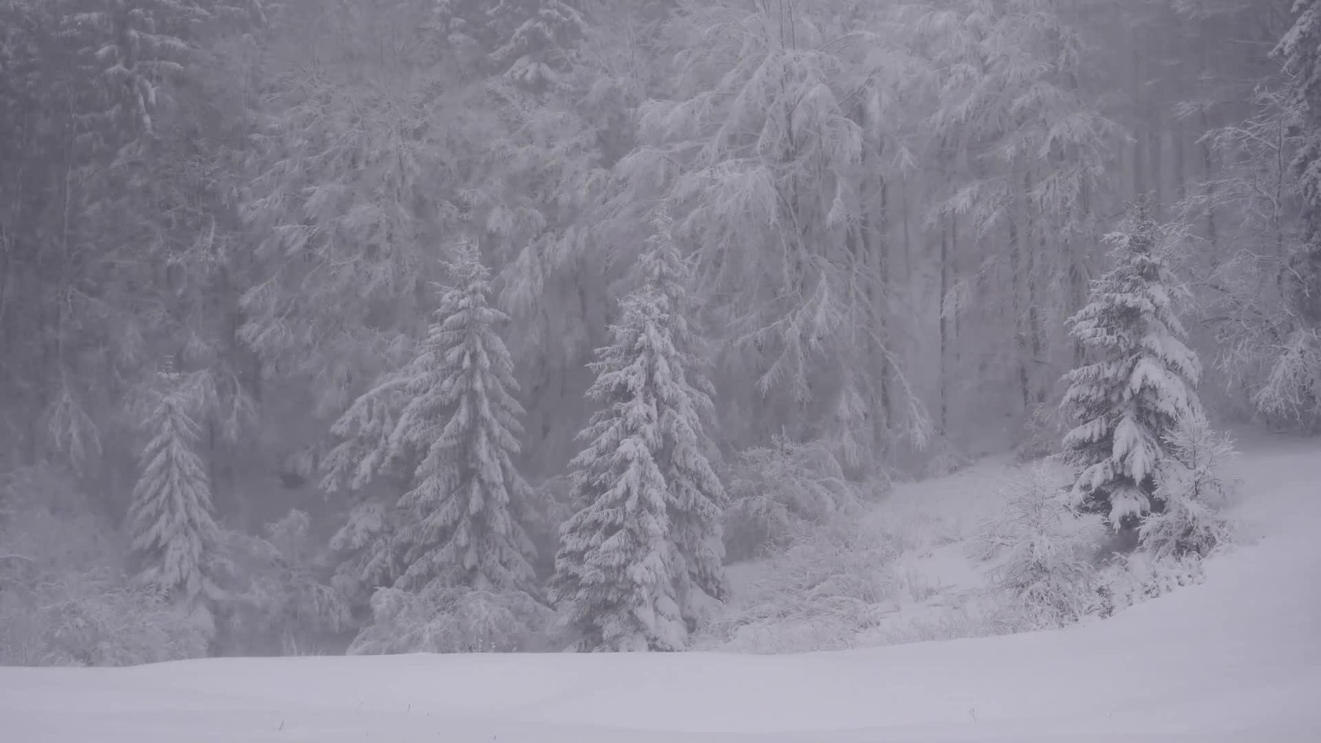 "Terminator: Dark fate - def." / попытка.8 / №5 / без пауз и сохранений смотреть онлайн