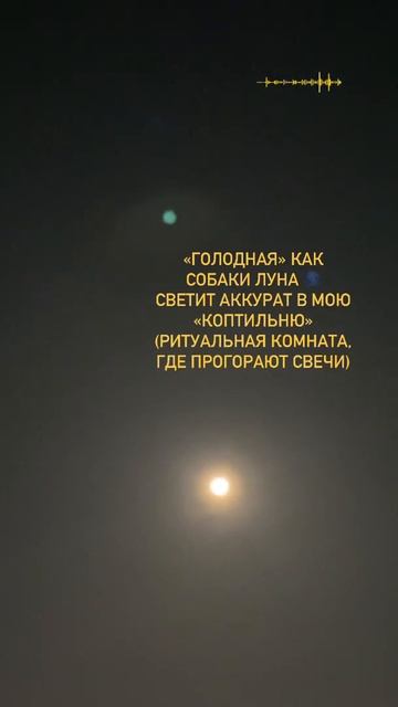 «ГОЛОДНАЯ» луна 🌑 #полнолуние #февраль #магия #ритуалы #стихии #энергии #высшиесилы #космос смотреть онлайн