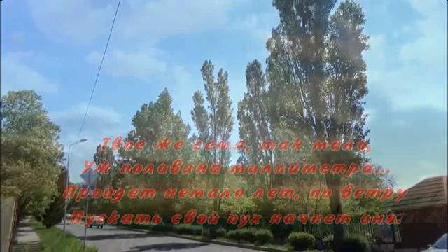 Семя. Стихи, декламация и видеомонтаж - Евгений Доставалов смотреть онлайн