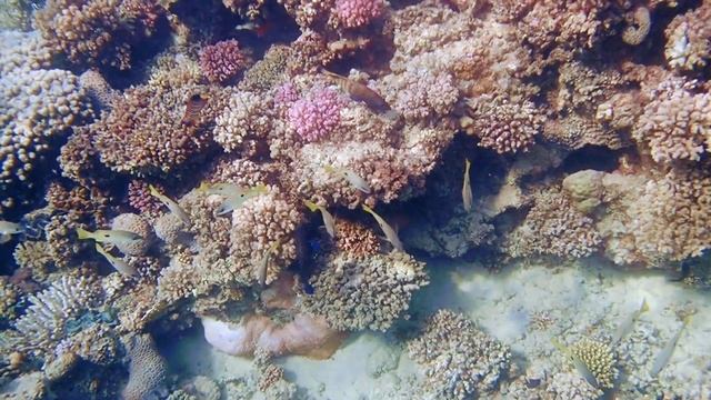 Marsa Alam Aurora Bay 06.-14.11.2023