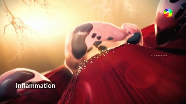 gym जाने से मसल्स कैसे बन जाती हैं - muscle regeneration in hindi смотреть онлайн