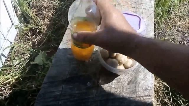 убойная привада для карася из доступных компонентов. прикормка на основе чеснока и масла. смотреть онлайн