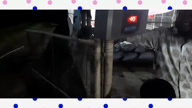 Lifting completed | 3.1kg average body weight in 45 days but price 100/kg 😒 смотреть онлайн