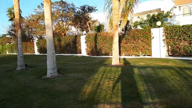 А МЫ ОПЯТЬ ИЗУЧАЕМ ОКРЕСТНОСТИ