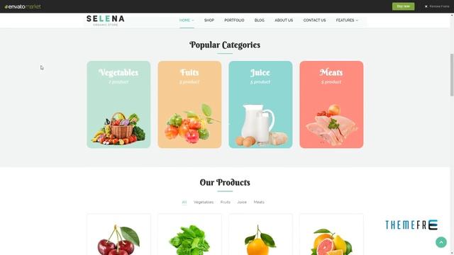 Selena - Organic Food Store Theme for WooCommerce WordPress Th смотреть онлайн