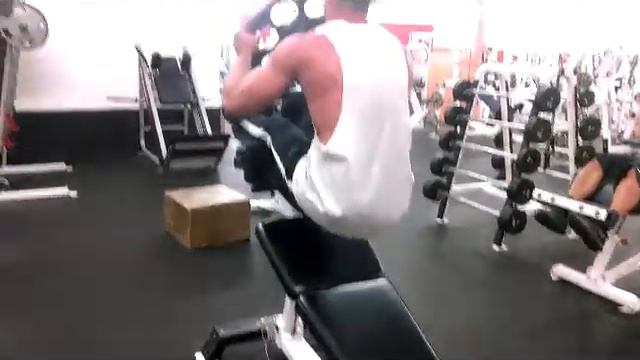 Abs, Abs, Abs/ The Shredder