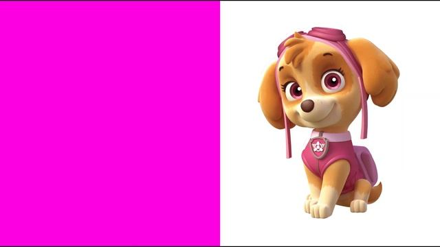 УЧИМ ЦВЕТА! ЩЕНЯЧИЙ ПАТРУЛЬ И МАША!