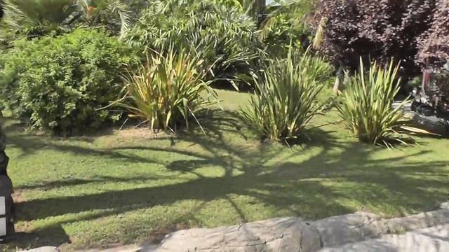 Royal Wings Hotel, Antalya Turkey смотреть онлайн