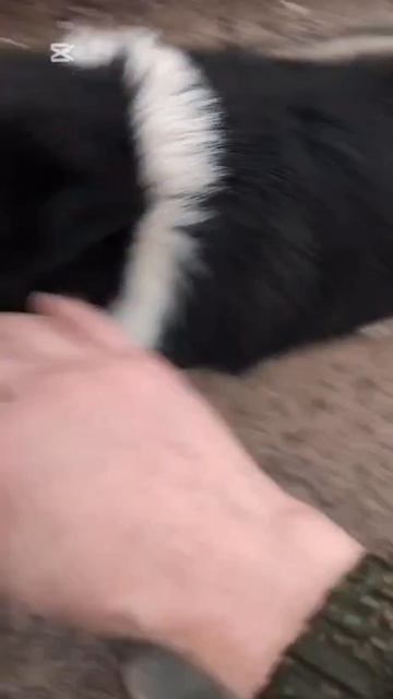 Кто ты такой?!