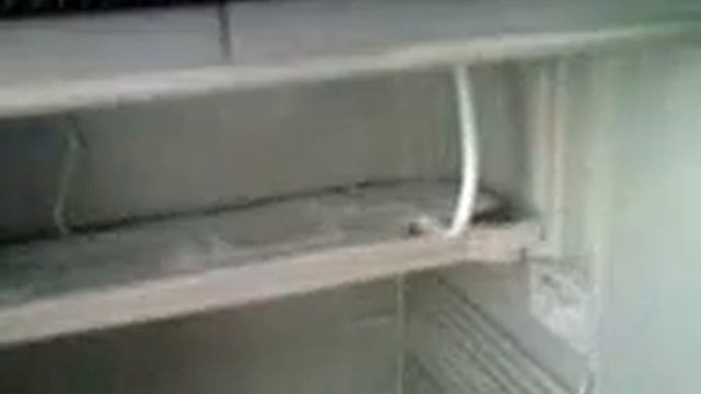 NEVERA 110 LITROS INDEL B смотреть онлайн