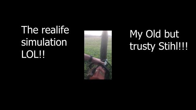 NewBootGoofin With A Stihl Chainsaw