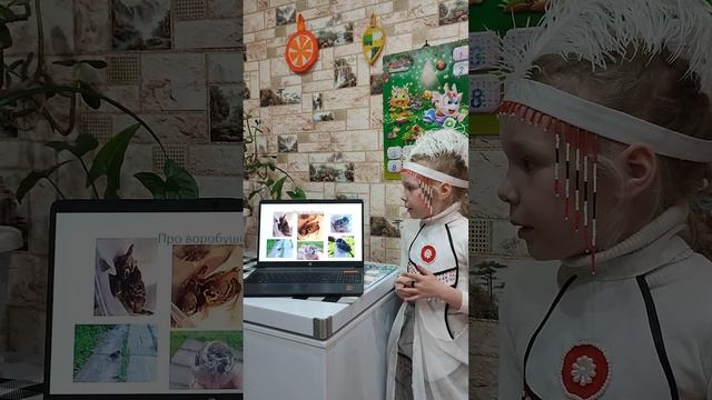 Исследовательский проект "Наши пернатые друзья" Зимующие птицы Якутии Соловьева Маргарита 8 лет смотреть онлайн