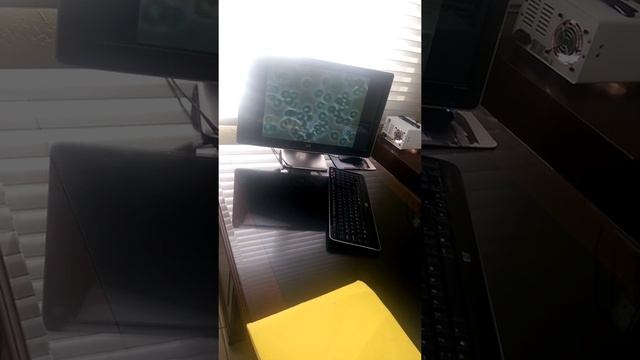 Dr Calzado TJ 10/03/15 video смотреть онлайн