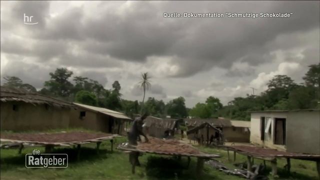 Schattenseiten beim Schokoladenkonsum | Die Ratgeber смотреть онлайн