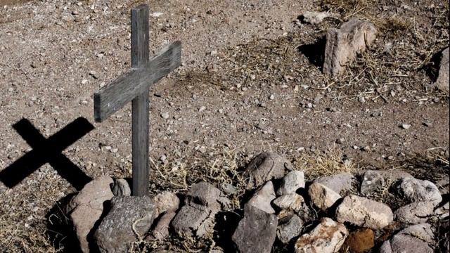 Мы на земле всего лишь гости