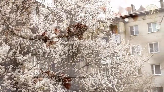 Весна в Армавире смотреть онлайн