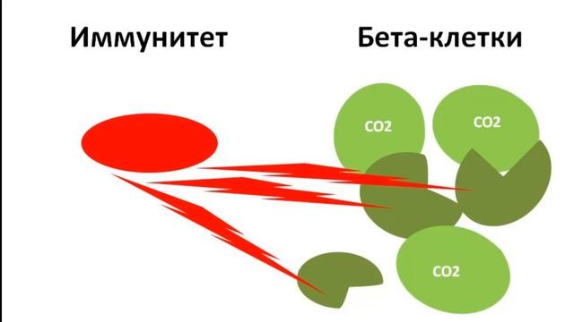 Нормализация сахара в крови при помощи дыхания смотреть онлайн