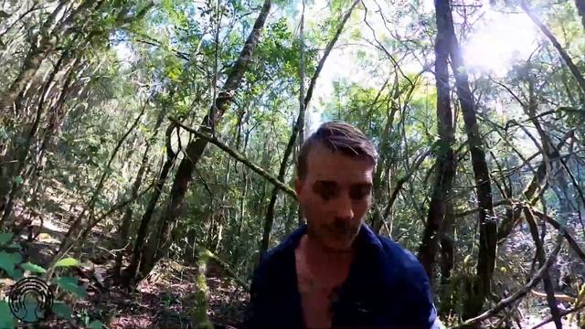 INTO THE WILD from Coronavirus to Mars chatting with Quantum Physicist Dr Adriana Marais in a Fores смотреть онлайн