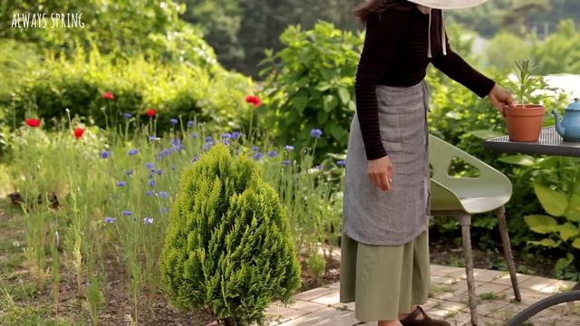 5월에서 6월로 넘어가는 자연주의 정원의 노지월동 야생화와 개화기간이 긴 일년초 심기 May Natural Garden Diary смотреть онлайн
