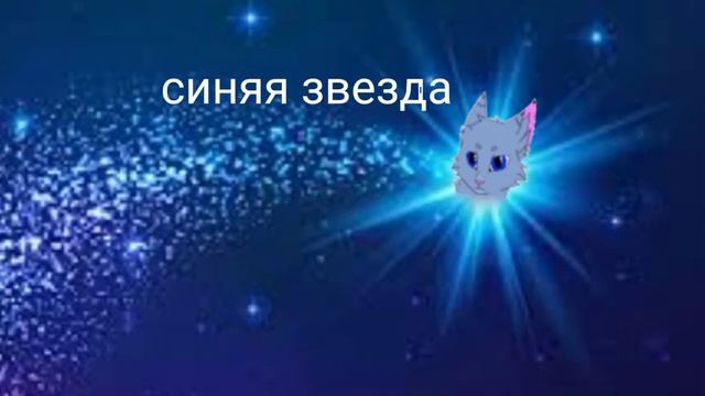 коты воители в прямом смысле #котывоители смотреть онлайн