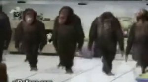 Обезьянки танцуют