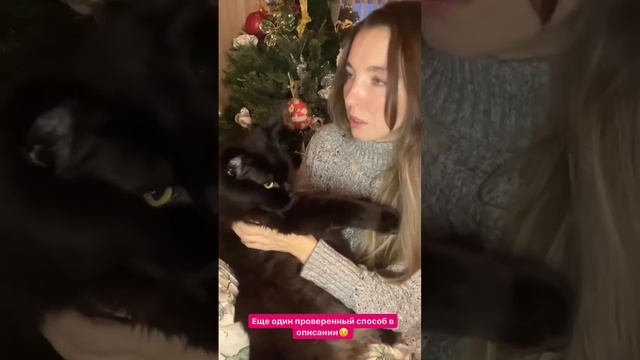 Хочешь денег?