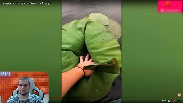 МАНУРИН СМОТРИТ НЕВЕРОЯТНЫЕ МОМЕНТЫ СНЯТЫЕ НА КАМЕРУ ⊳ WATCH THE MANYRIN РЕАКЦИЯ #reaction #реакция