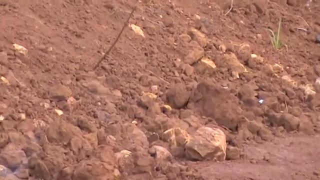 почва цвета Марса смотреть онлайн