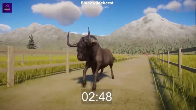 Animals Running Race Horse Race Videos planet zoo blueprints|YOUTUBE GAMER смотреть онлайн