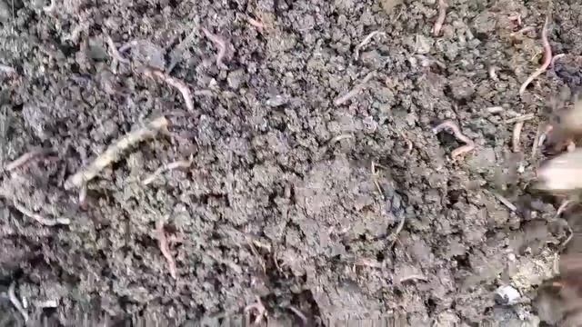 #AKSIYAMZGA# #MARHAMAT# AZIZ# YURTDOSHLARIM# +998934637378 +998332705858 смотреть онлайн