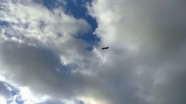 НЛО на Палиевой горе смотреть онлайн