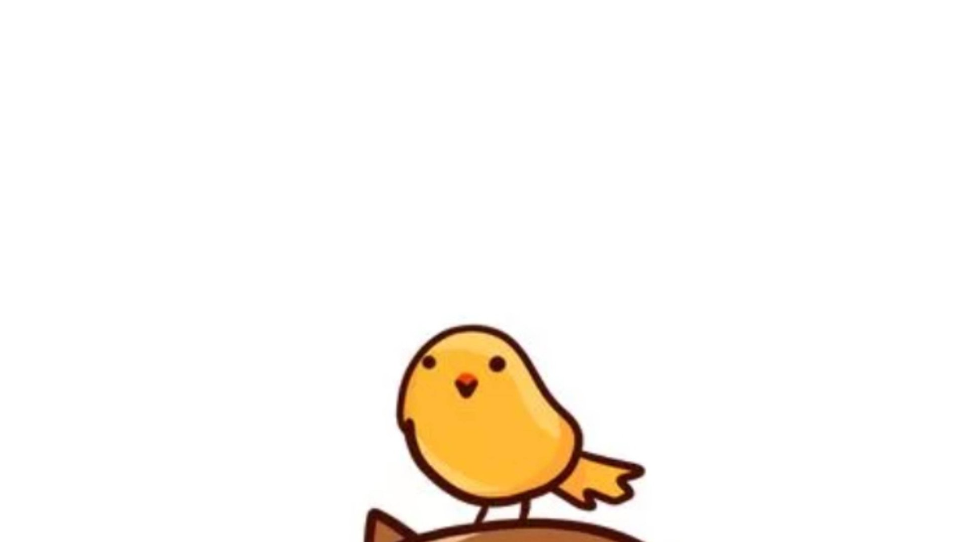 Новое видео