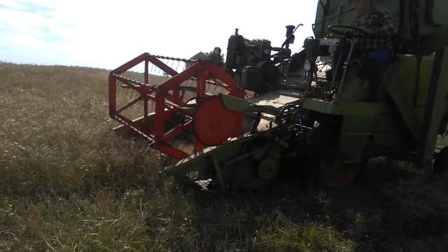 Claas Columbus 2018 (Ipolynyék) смотреть онлайн