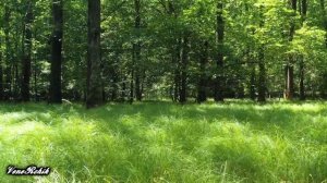 Эльмира Сулейманова Рамиль Галимзянов   Соям диген мина