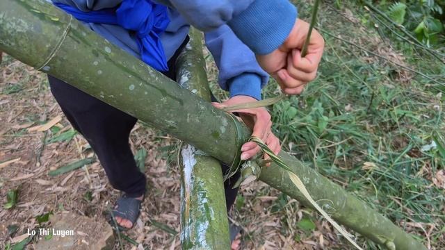 A single mother in her 20s uses bamboo to build a house. build a new life in the forest смотреть онлайн