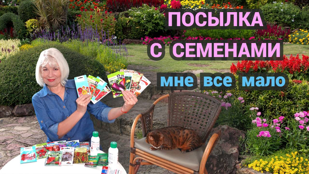 Посылка с семенами. А мне все мало#семена#сад#огород смотреть онлайн