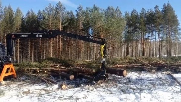 Испытания харвестера на базе МТЗ